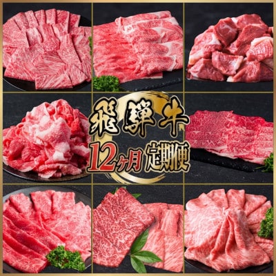 【毎月定期便】飛騨牛 厳選 定期便 計5.1kg すき焼き・しゃぶしゃぶ・焼肉・BBQ用 全12回