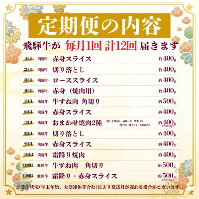 【毎月定期便】飛騨牛　厳選　定期便　計5.1kg　しゃぶしゃぶ・すき焼き・BBQ用　すね肉全12回