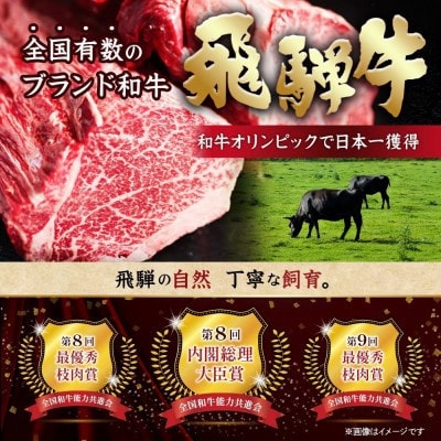 【2ヵ月毎定期便】飛騨牛 特選少なめ定期便 計2.7kg全6回