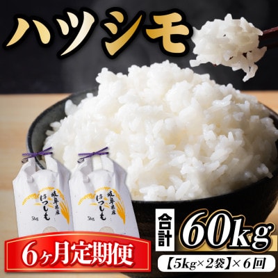 【毎月定期便】岐阜県産ハツシモ　10kg(精米5kg×2袋)全6回
