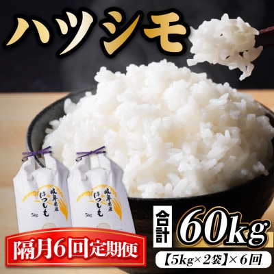 【2ヵ月毎定期便】岐阜県産ハツシモ　10kg(精米5kg×2袋)全6回