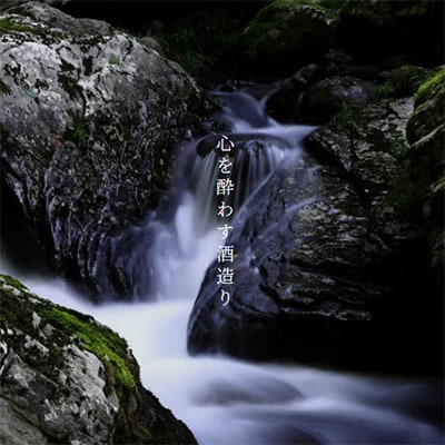 千成藤吉郎　1800ml×1本