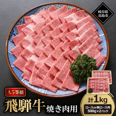 A5等級飛騨牛:焼き肉用1kg　ロース又は肩ロース肉