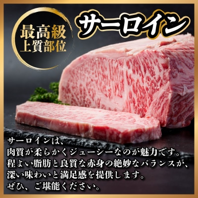 飛騨牛　サーロインステーキ　約200g
