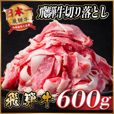 飛騨牛　切り落とし　約600g