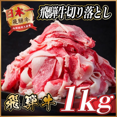 飛騨牛　切り落とし　約1kg(約500g×2パック)