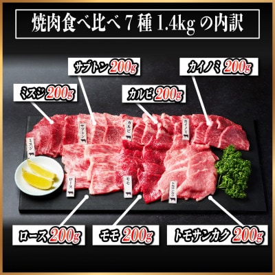飛騨牛　焼肉厳選7種食べ比べセット　約1.4kg(味つけ用タレ・つけタレ付き)
