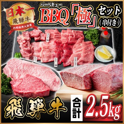 飛騨牛　BBQ「極」セット(串付き)約2.5kg(味つけ用タレ・つけタレ・ローストビーフソース付き)
