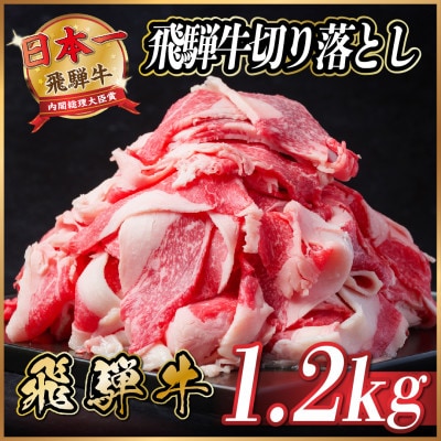飛騨牛　切り落とし　約1.2kg　【冷蔵便】
