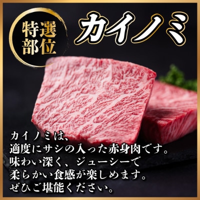 飛騨牛　カイノミステーキ約300g