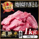 飛騨牛 焼肉切り落とし 約1kg(約500g×2)タレ付き 訳あり【冷蔵便】A4～A5等級 黒毛和牛