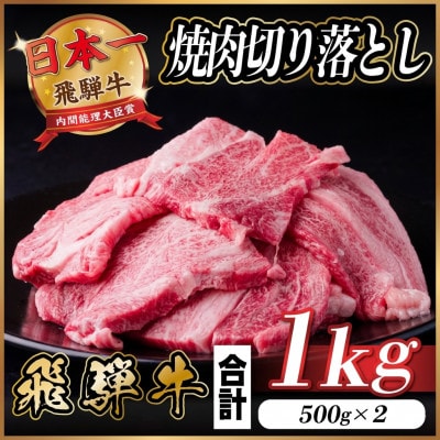 飛騨牛 焼肉切り落とし 約1kg(約500g×2)タレ付き 訳あり【冷蔵便】カルビ・ロースなど