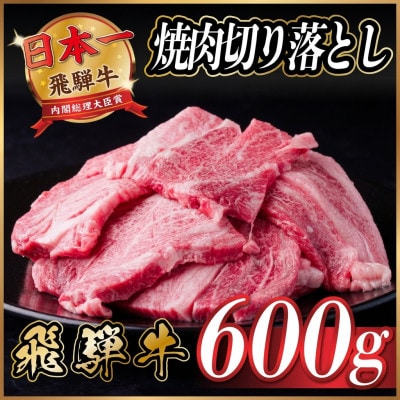 飛騨牛 焼肉切り落とし 約600g(約300g×2)タレ付き 訳あり【冷蔵便】カルビ・ロースなど