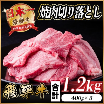 飛騨牛 焼肉 切り落とし 約1.2kg(約400g×3)訳あり【冷蔵便】