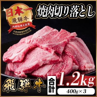 飛騨牛 焼肉切り落とし 約1.2kg(約400g×3)タレ付き 訳あり【冷蔵便】カルビ・ロースなど