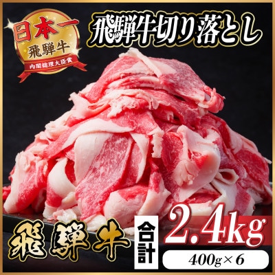 飛騨牛 切り落とし 約2.4kg(約400g×6パック)【冷蔵便】