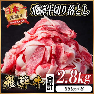 飛騨牛 切り落とし 約2.8kg(約350g×8パック)【冷蔵便】