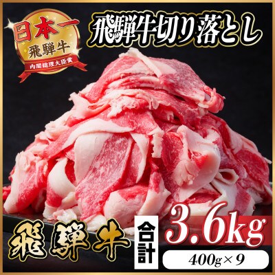 飛騨牛 切り落とし 約3.6kg(約400g×9パック)【冷蔵便】