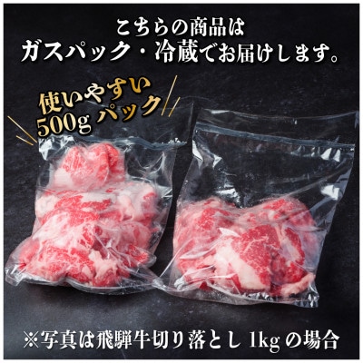 飛騨牛 切り落とし 約3.6kg(約400g×9パック)【冷蔵便】