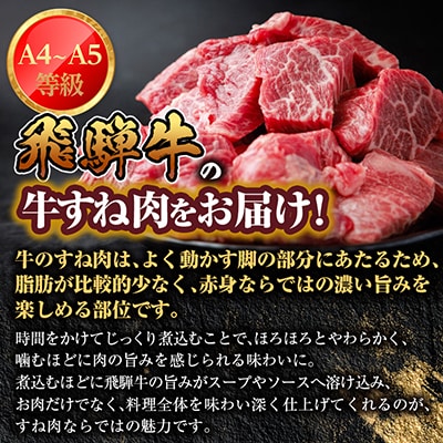 【訳あり】飛騨牛 すね肉 角切り 約800g