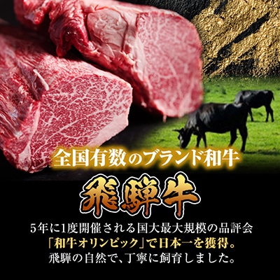 【訳あり】飛騨牛 すね肉 角切り 約1kg(約500g×2)
