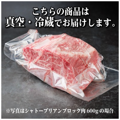 飛騨牛 シャトーブリアンブロック 約600g 【冷蔵便】A4～A5等級 黒毛和牛 ステーキなどに