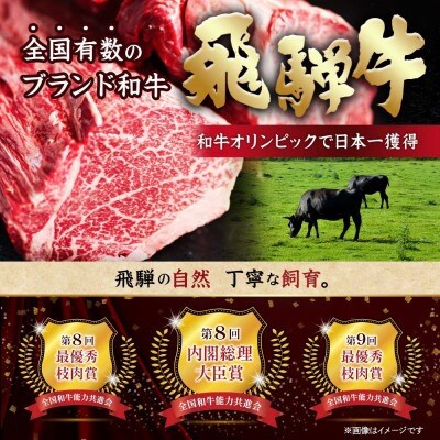 飛騨牛　三角バラカルビ焼肉　300g　タレ付き　BBQ用