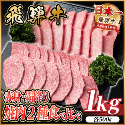 飛騨牛　赤身・霜降り焼肉2種食べ比べセット(ヒレ・三角バラカルビ)　計1kg(各500g)タレ付き