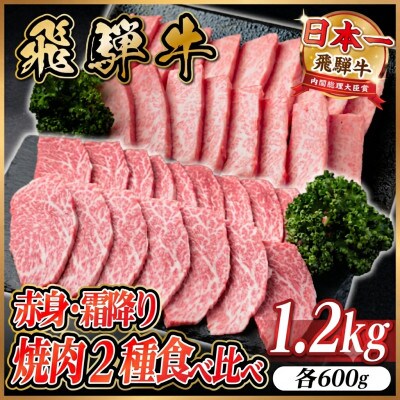 飛騨牛　赤身・霜降り焼肉2種食べ比べセット(ヒレ・三角バラカルビ)計1.2kg(各600g)タレ付き