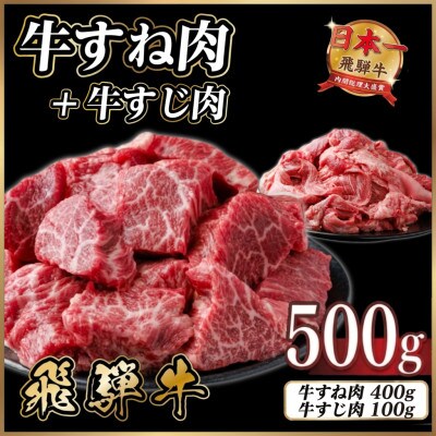 飛騨牛 牛すね肉・牛すじ肉煮込み料理セット 計約500g【冷蔵便】訳あり A4～A5等級 黒毛和牛