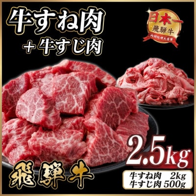 飛騨牛 牛すね肉・牛すじ肉煮込み料理セット 計約2.5kg【冷蔵便】訳あり A4～A5等級 黒毛和牛