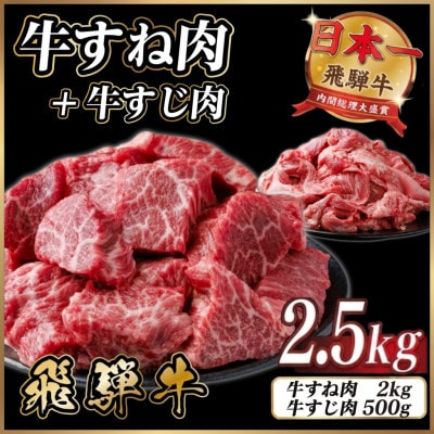 飛騨牛 牛すね肉・牛すじ肉煮込み料理セット 計約2.5kg【冷蔵便】訳あり A4~A5等級 黒毛和牛