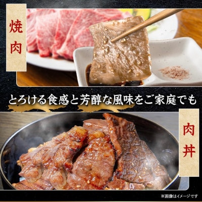 飛騨牛　霜降りブロック　約600g(約300g×2)【冷蔵便】A4等級以上　黒毛和牛