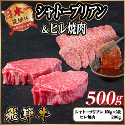 飛騨牛 シャトーブリアン&ヒレ焼肉 計約500g【冷蔵便】 A4～A5 黒毛和牛 希少部位