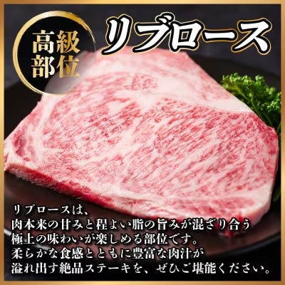 飛騨牛 リブロースステーキ 約400g
