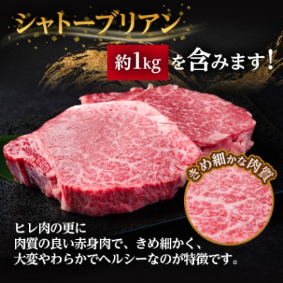 【毎月定期便】飛騨牛 ヒレ1本(約4～5kg)【シャトーブリアン&ヒレ】冷蔵便全6回