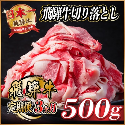 【毎月定期便】飛騨牛　切り落とし　約500g【冷蔵便】全3回
