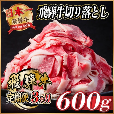 【毎月定期便】飛騨牛　切り落とし　約600g【冷蔵便】全3回