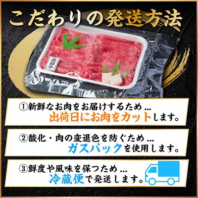 【毎月定期便】飛騨牛　切り落とし　約600g【冷蔵便】全12回