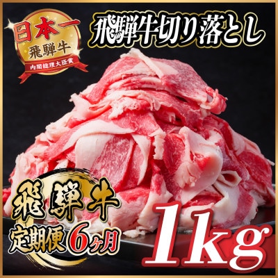 【毎月定期便】飛騨牛　切り落とし　約1kg【冷蔵便】全6回