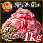 【毎月定期便】飛騨牛　切り落とし　約4kg【冷蔵便】全6回