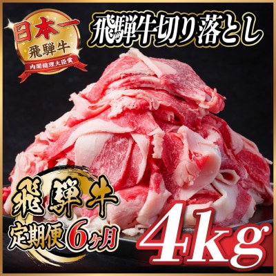 【毎月定期便】飛騨牛　切り落とし　約4kg【冷蔵便】全6回