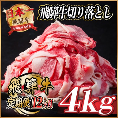 【毎月定期便】飛騨牛　切り落とし　約4kg【冷蔵便】全12回