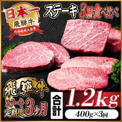 【毎月定期便】飛騨牛 ステーキ定期便 計約1.2kg【冷蔵便】全3回