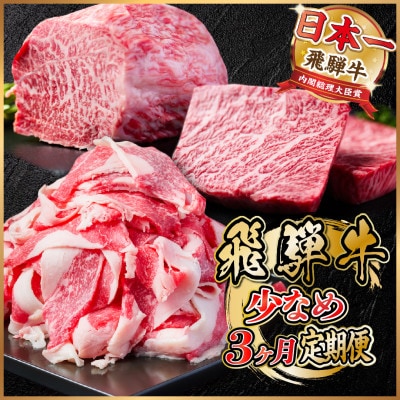 【毎月定期便】飛騨牛 少なめ定期便 計1kg【冷蔵便】全3回