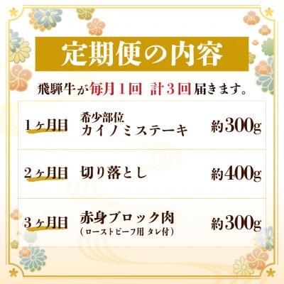 【毎月定期便】飛騨牛 少なめ定期便 計1kg【冷蔵便】全3回