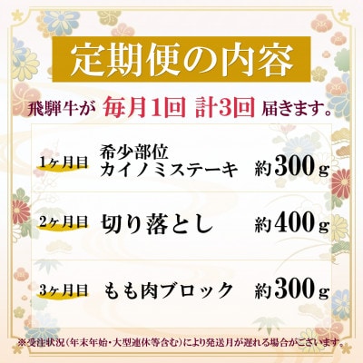 【毎月定期便】飛騨牛 少なめ定期便 計1kg【冷蔵便】全3回 赤身ステーキ 切り落とし 赤身ブロック