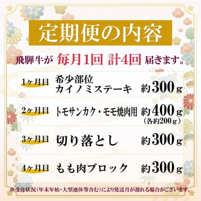 【毎月定期便】飛騨牛 少なめ定期便 計1.3kg 全4回 ステーキ 焼肉 切り落とし 赤身ブロック肉