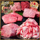 【毎月定期便】飛騨牛 少なめ定期便 計1.8kg【冷蔵便】全5回