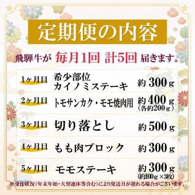 【毎月定期便】飛騨牛 少なめ定期便 計1.8kg 全5回